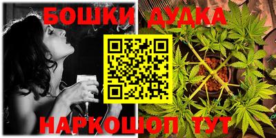 индика Наро-Фоминск