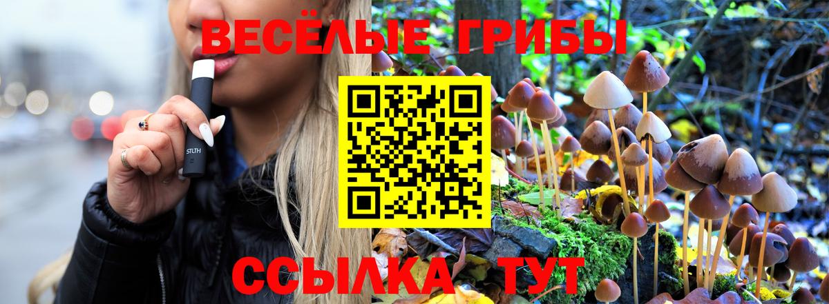 Галлюциногенные грибы Psilocybine cubensis  Галлюциногенные грибы мухоморы  Тавда  что такое   Вход с VPN 